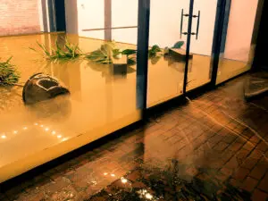 a room flooded by water with several potted plants knocked over and lying on their side