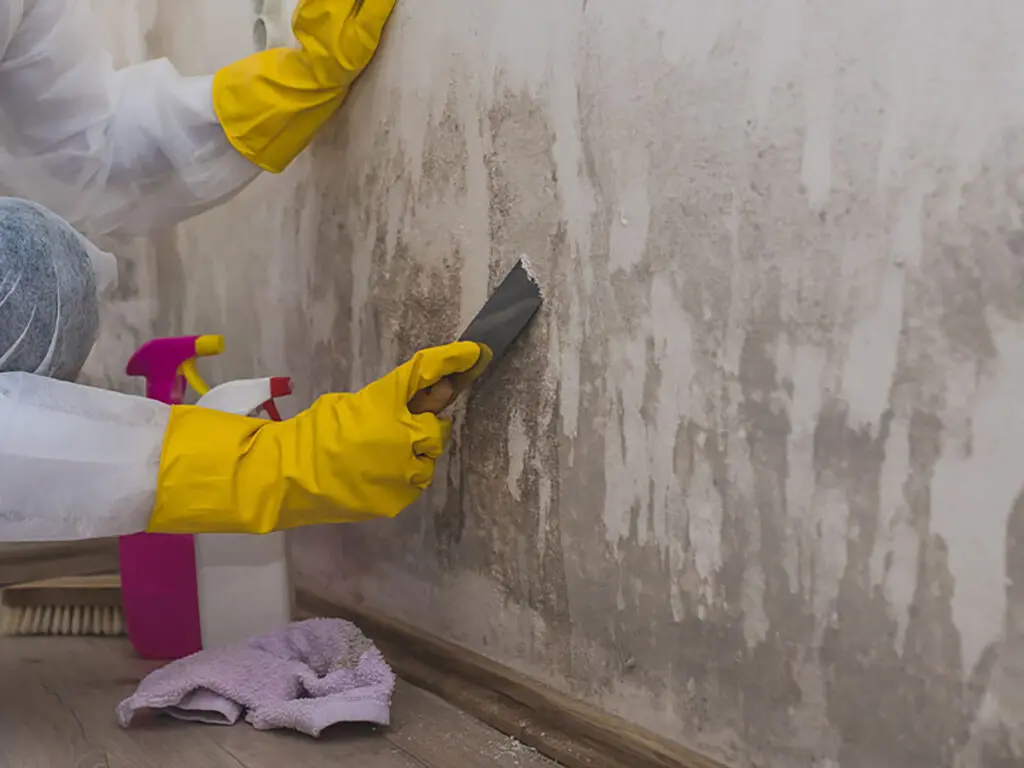 A person in PPE including rubber gloves and a body suit scraping gunk off a wall with a rag and two spray bottles on the floor